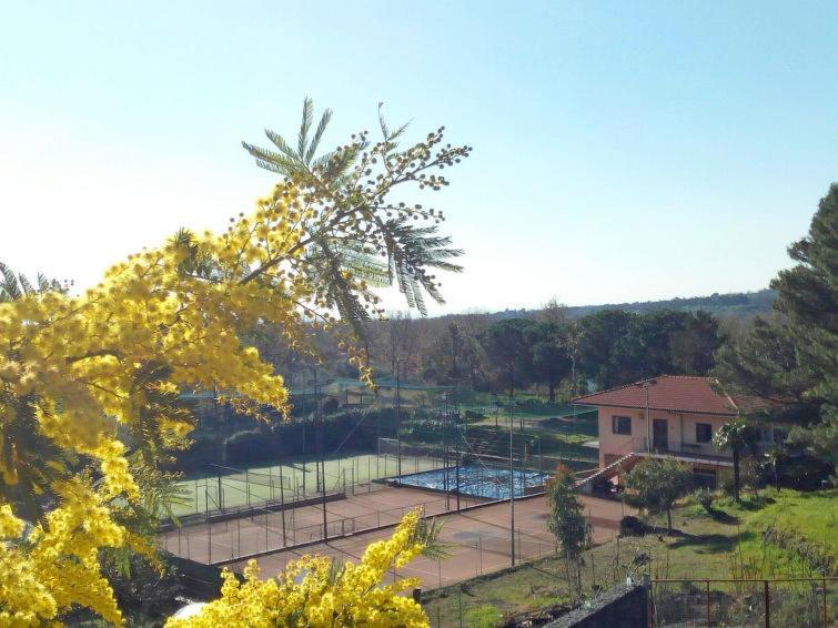 Villa Mimosa ซัฟเฟรานา เอตเนอา ภายนอก รูปภาพ